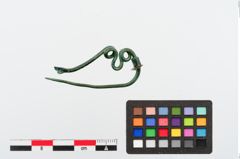 Foto von Bronzeschlangenfibel (NHMW-PRAE-024307)